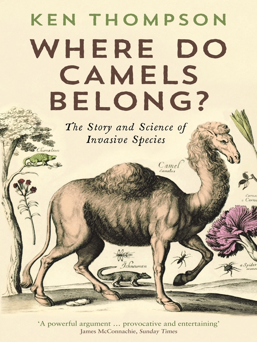 Couverture de Where Do Camels Belong?
